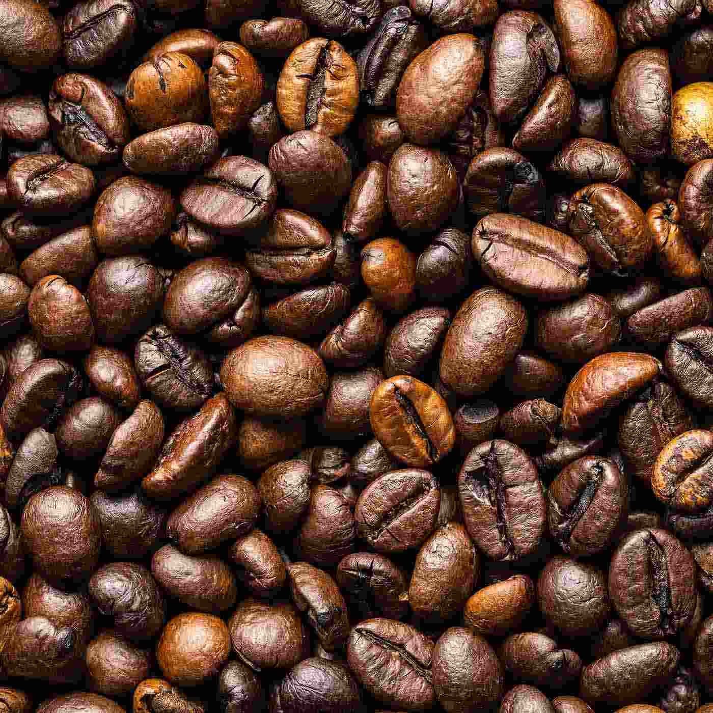 Espressobohnen Fun Fact Produkt Bio Espressomischung online kaufen bei Genussio