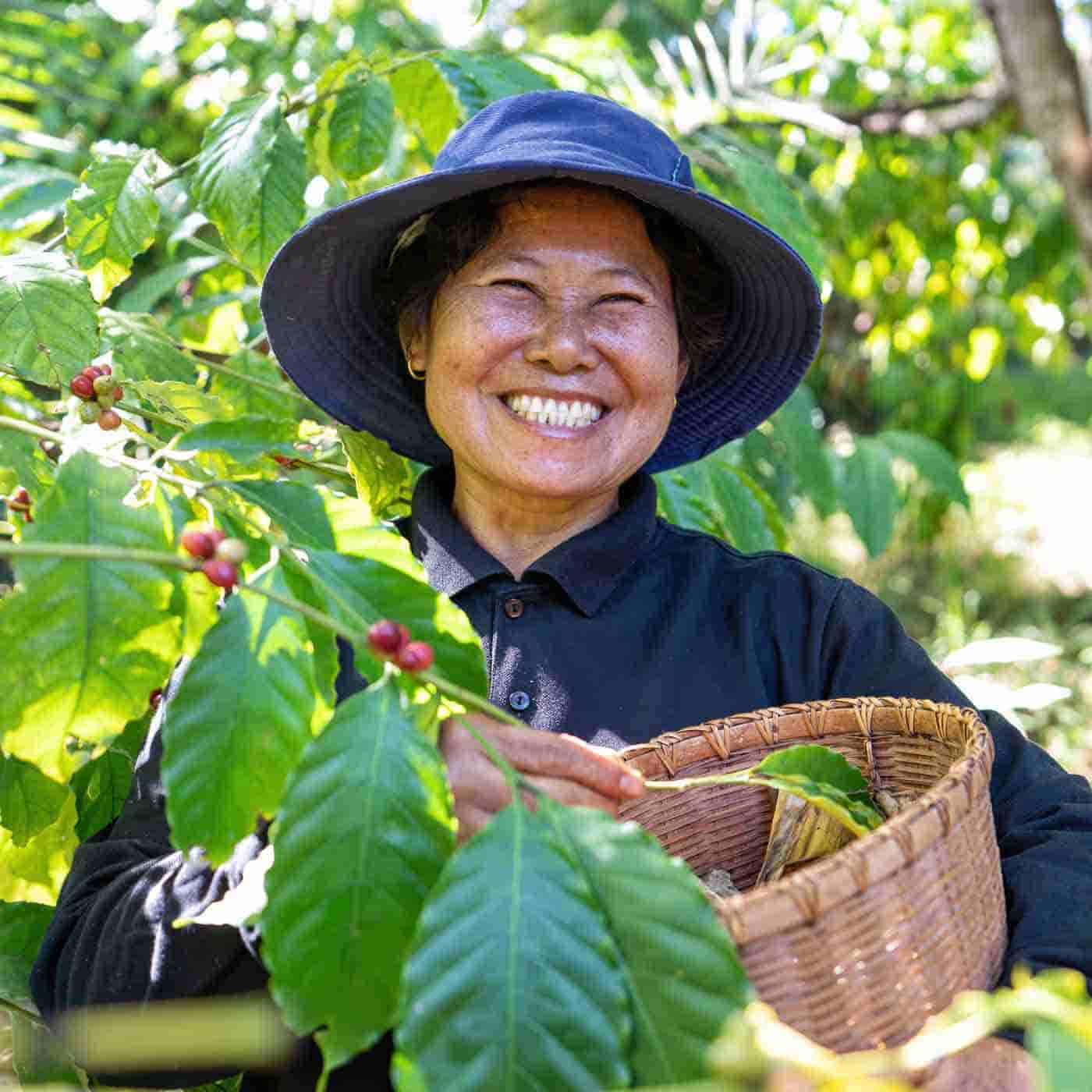 Hochlandplantage in Honduras Fun Fact Produkt Bio Hochlandkaffee aus Honduras online kaufen bei Genussio